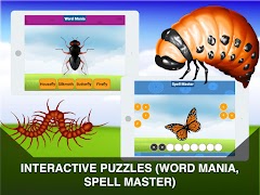 Insects Puzzles for Kids screenshot 7