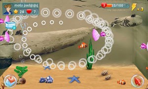 برنامه‌نما Fish Live عکس از صفحه