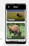 Bison screenshot 2