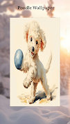 Poodle Wallpapers screenshot 4