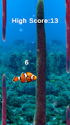 Clown Fish poster