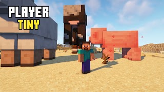 Player Tiny Minecraft Mod Ekran Görüntüsü 6