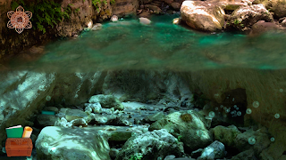 Panmorphia LITE screenshot 6