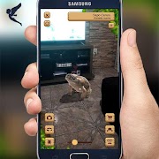 Olha o Bicho! gönderen