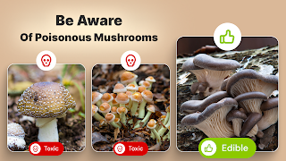 Mushroom Identification स्क्रीनशॉट 7