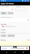TCP Async Server Screenshot 2