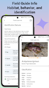 Identificador de ranas captura de pantalla 5
