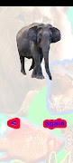 Animals Sounds: World Sounds 스크린샷 5