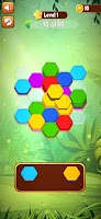 Hexa Color Match Puzzle Game الملصق