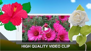 برنامه‌نما Flowers Learning Flashcards عکس از صفحه