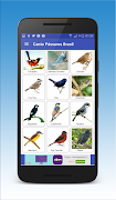 Canto de Pássaros Brasileiros স্ক্রিনশট 5
