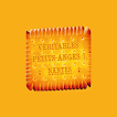 ANGE 2024 icon