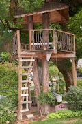 Tree House projeto imagem de tela 4