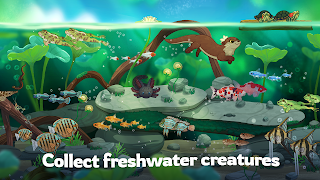 Pondlife — Fish, Frogs & More! poster