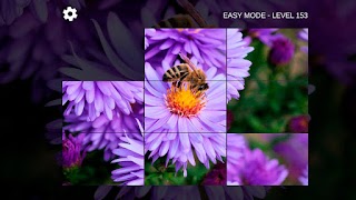 Image Puzzle LF স্ক্রিনশট 3