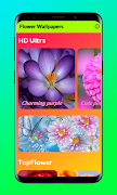 Flower theme HDR 5K ภาพหน้าจอ 1