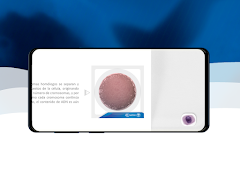 División Mitótica 3D syot layar 2