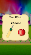 Cricket Multiplayer Screenshot 5