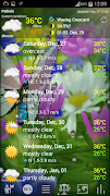Weather ACE Icon Set Pack screenshot 1
