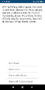 Learn Rosary screenshot 5