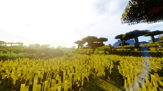 Optifine Minecraft Mod screenshot 3