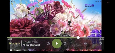 برنامه‌نما RippleTV عکس از صفحه