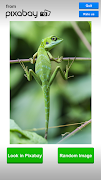 Willekeurige afbeelding screenshot 7