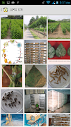 Sericulture Information ảnh chụp màn hình 3