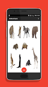 Animal Quiz پوسٹر