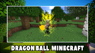 Dragon Ball Mod Minecraft PE poster