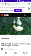 Browser tab auto refresh 2025 screenshot 4
