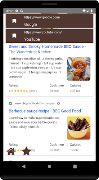 Camera on Web Browser - CowBro Screenshot 3