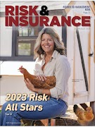 Risk & Insurance โปสเตอร์