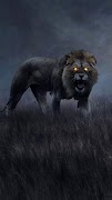 Lion Wallpapers screenshot 1