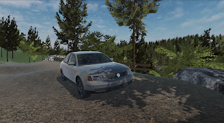 Romanian Driver screenshot 4
