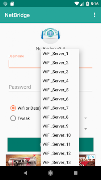NetBridge VPN screenshot 1