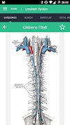 Lymphatic System Reference скриншот 4