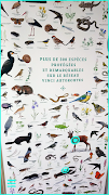 ANIMALIA by VINCI Autoroutes poster