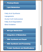 Basic Biochemistry 截图 3