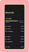 MemInfo Poster