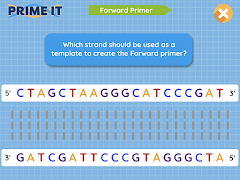 Prime It DNA Game screenshot 6