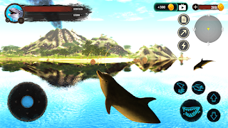 The Dolphin screenshot 2