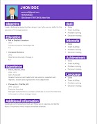 Smart CV imagem de tela 5