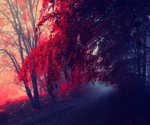 Autum Falling leaves screenshot 4
