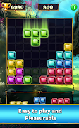 BLOCK PUZZLE screenshot 2
