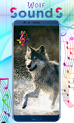 Wolf Sounds تصوير الشاشة 3