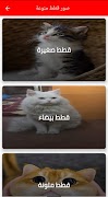 مياو _ قطط screenshot 3