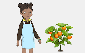 Orange Tree স্ক্রিনশট 4