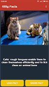 2 Schermata Kitty Facts