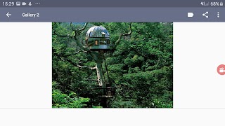 Tree House Designs screenshot 5